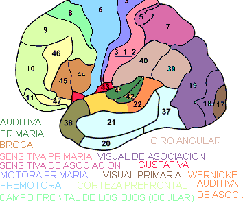 Que sin consentimiento de curar el alcoholismo